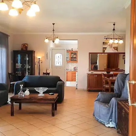 The Horizon View House *
